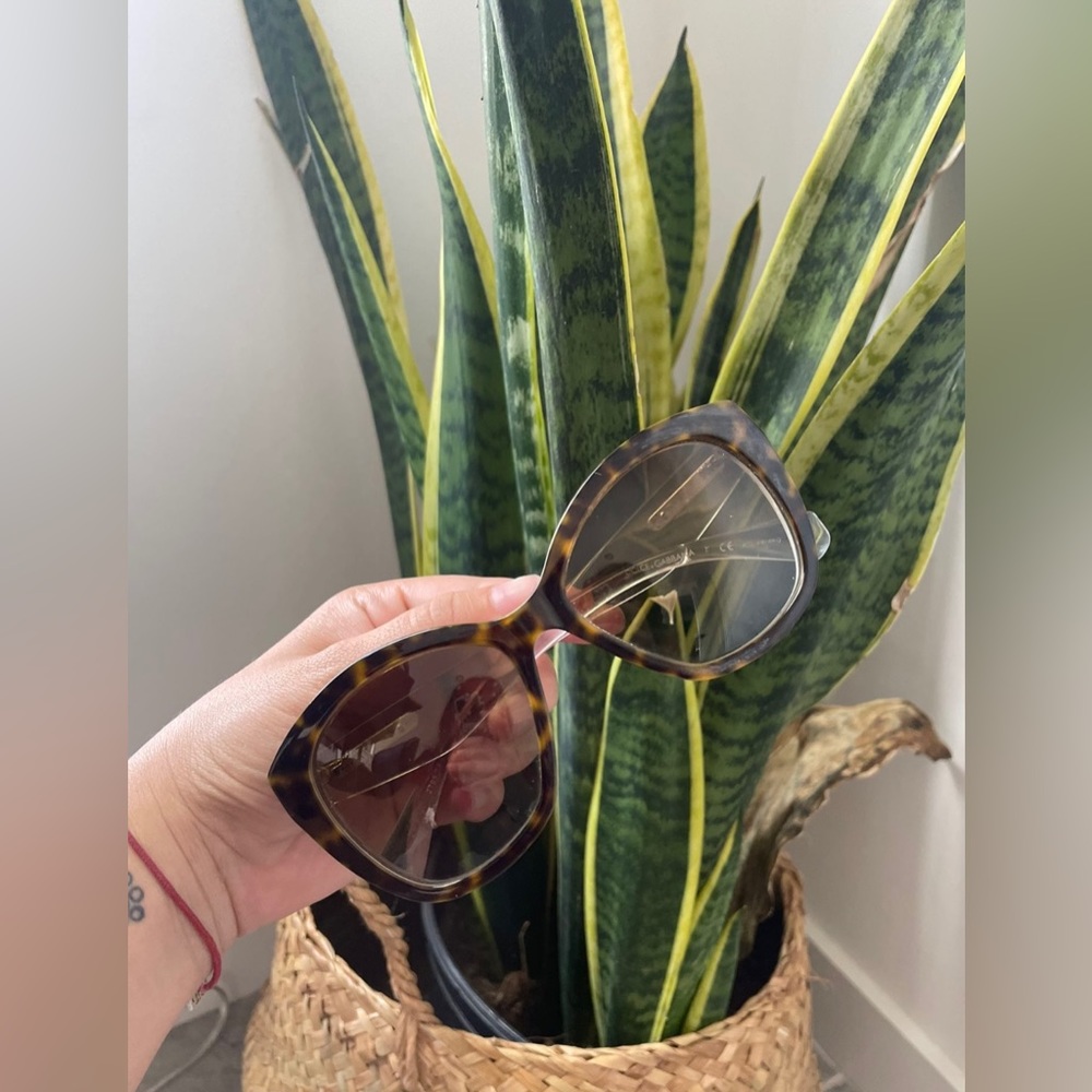Dolce & Gabbana Sunglasses